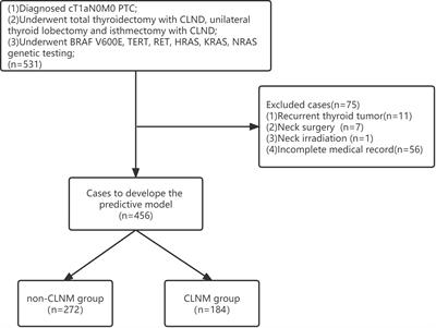 A clinical and molecular pathology prediction model for central lymph node metastasis in cN0 papillary thyroid microcarcinoma